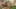 Thumbnail Spiel-Screenshot 5