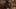 Miniature af spil-screenshot 2