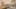 Miniature af spil-screenshot 5