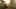 Miniatura de la captura de pantalla del juego 1