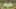 Miniature af spil-screenshot 5