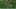 Miniature af spil-screenshot 3