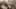 Miniatura de la captura de pantalla del juego 4