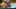Miniatura de la captura de pantalla del juego 2