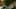 Miniatura de la captura de pantalla del juego 4