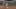 Miniatura de la captura de pantalla del juego 2