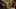 Thumbnail gamescreenshot 1
