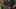 Miniatura de la captura de pantalla del juego 4