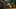 Thumbnail gamescreenshot 2