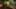 Thumbnail Spiel-Screenshot 2