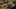 Miniatura de la captura de pantalla del juego 5