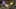 Miniatura de la captura de pantalla del juego 5
