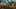 Miniatura de la captura de pantalla del juego 5