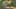 Miniature af spil-screenshot 1