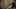 Thumbnail Spiel-Screenshot 5