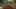 Miniature af spil-screenshot 4