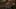 Miniatura de la captura de pantalla del juego 2