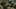 Miniatura de la captura de pantalla del juego 2