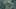 Thumbnail Spiel-Screenshot 1