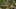 Miniatura de la captura de pantalla del juego 4