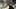 Thumbnail Spiel-Screenshot 2
