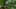 Thumbnail gamescreenshot 4