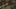 Miniatura da captura de ecrã do jogo 2