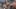 Thumbnail Spiel-Screenshot 1