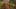 Miniatura de la captura de pantalla del juego 4