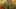 Miniature af spil-screenshot 1