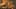 Miniature af spil-screenshot 2
