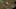 Miniature af spil-screenshot 3