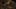 Miniature af spil-screenshot 4