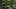 Miniatura screenshot del gioco 4