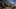 Thumbnail Spiel-Screenshot 5