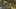 Thumbnail Spiel-Screenshot 1