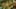 Thumbnail Spiel-Screenshot 2
