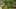 Thumbnail Spiel-Screenshot 3