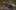 Thumbnail Spiel-Screenshot 4