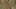 Thumbnail Spiel-Screenshot 4