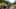 Thumbnail Spiel-Screenshot 2
