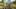 Thumbnail Spiel-Screenshot 4